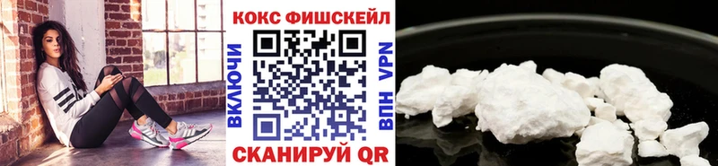где можно купить Багратионовск Cocaine 99%