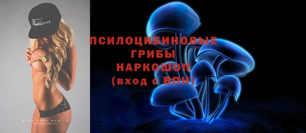 a pvp Слюдянка